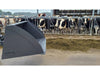 Berlon Mini Snow and Light Material Bucket for Mini Skid & Tractors - Mammoth